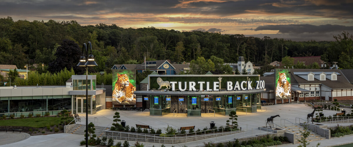 Turtle back zoo